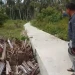 LSM Trinusa Asahan Soroti Kepala Desa dugaan penggunaan Dana Desa bangun akses jalan ke ladang sendiri