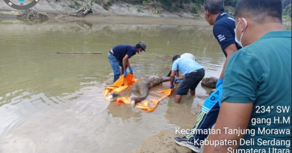 Penemuan Mayat menghebohkan Warga Tanjung Morawa, Indentitas lewat tulisan di tangan