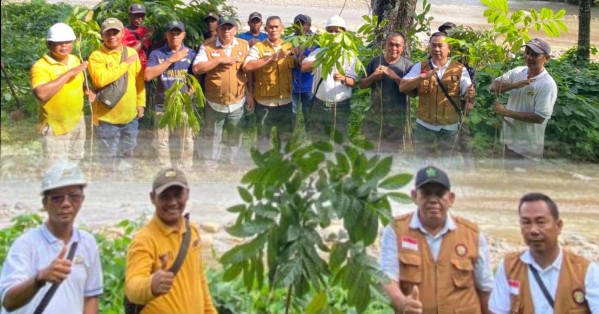 PTPN IV Regional l Kebun Hapesong dan SPBun Basis Melaksanakan Penanaman 350 Pohon Mahoni di Sempadan Sungai