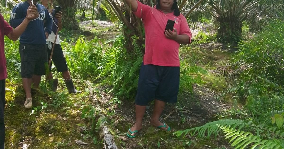 Diduga halangi kerja alat berat, Polres Tapsel : Ibu Eldi Danora sudah serahkan bukti alas Hak