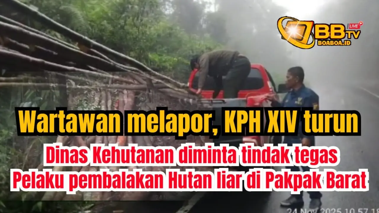 Wartawan melapor, KPH XIV turun, Dinas Kehutanan diminta tindak tegas pelaku pembalakan liar